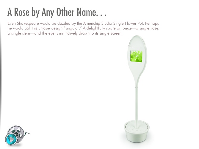single_flower_pot.jpg